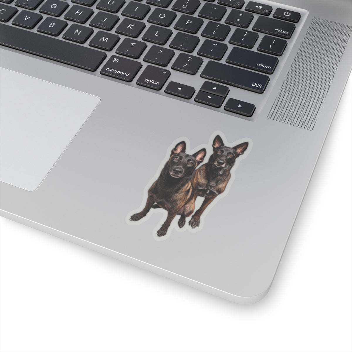Redden & Ashi Sticker