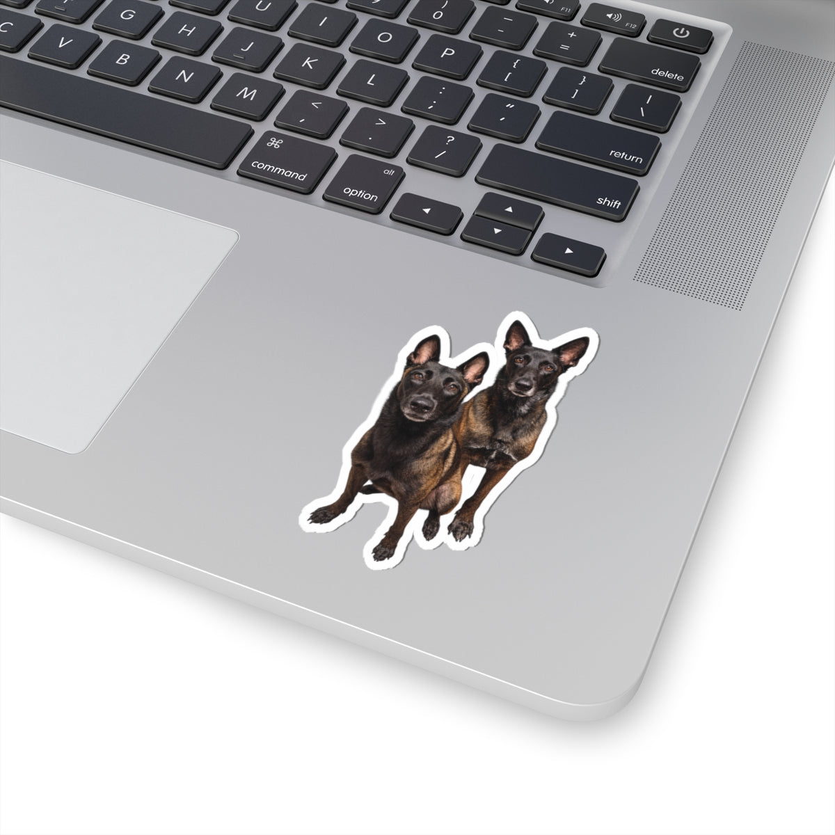 Redden & Ashi Sticker