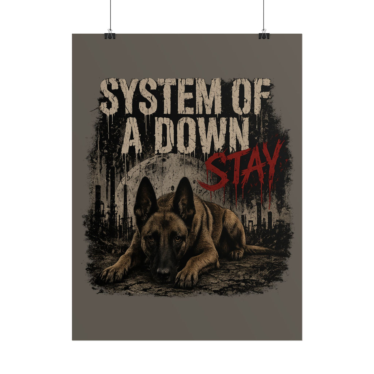STAY Belgian Malinois Rolled Poster