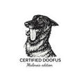 Belgian Malinois Sticker — "Certified Doofus"