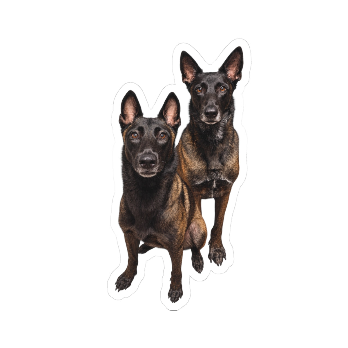 Redden & Ashi Sticker