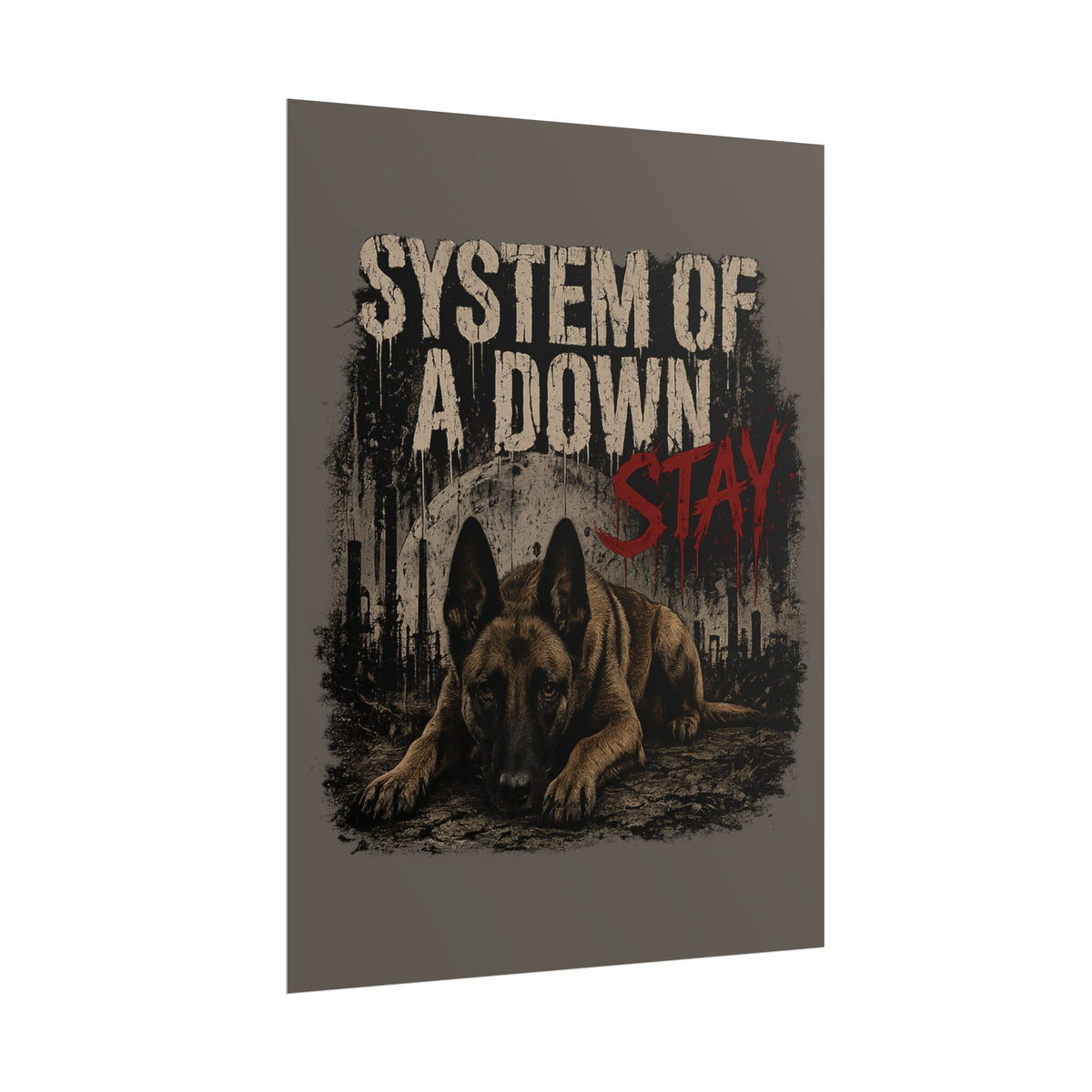 STAY Belgian Malinois Rolled Poster